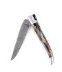 Laguiole 12 cm Abeille Forgée Double Platine manche en corne massive blonde et deux mitres inox lame damas inox